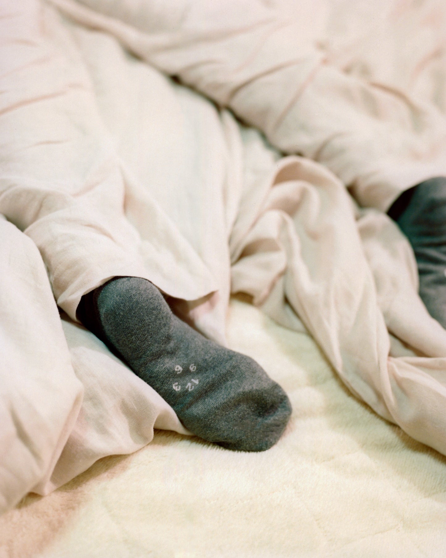 Unisex accessories socks cotton mix anthracite with ribbed cuffs, visible on feet under a blanket.