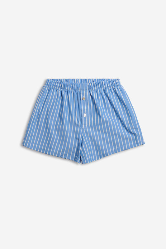Men's jersey boxershorts, 100% organic cotton, blue with white vertical stripes, elastic waistband, and two front buttons.