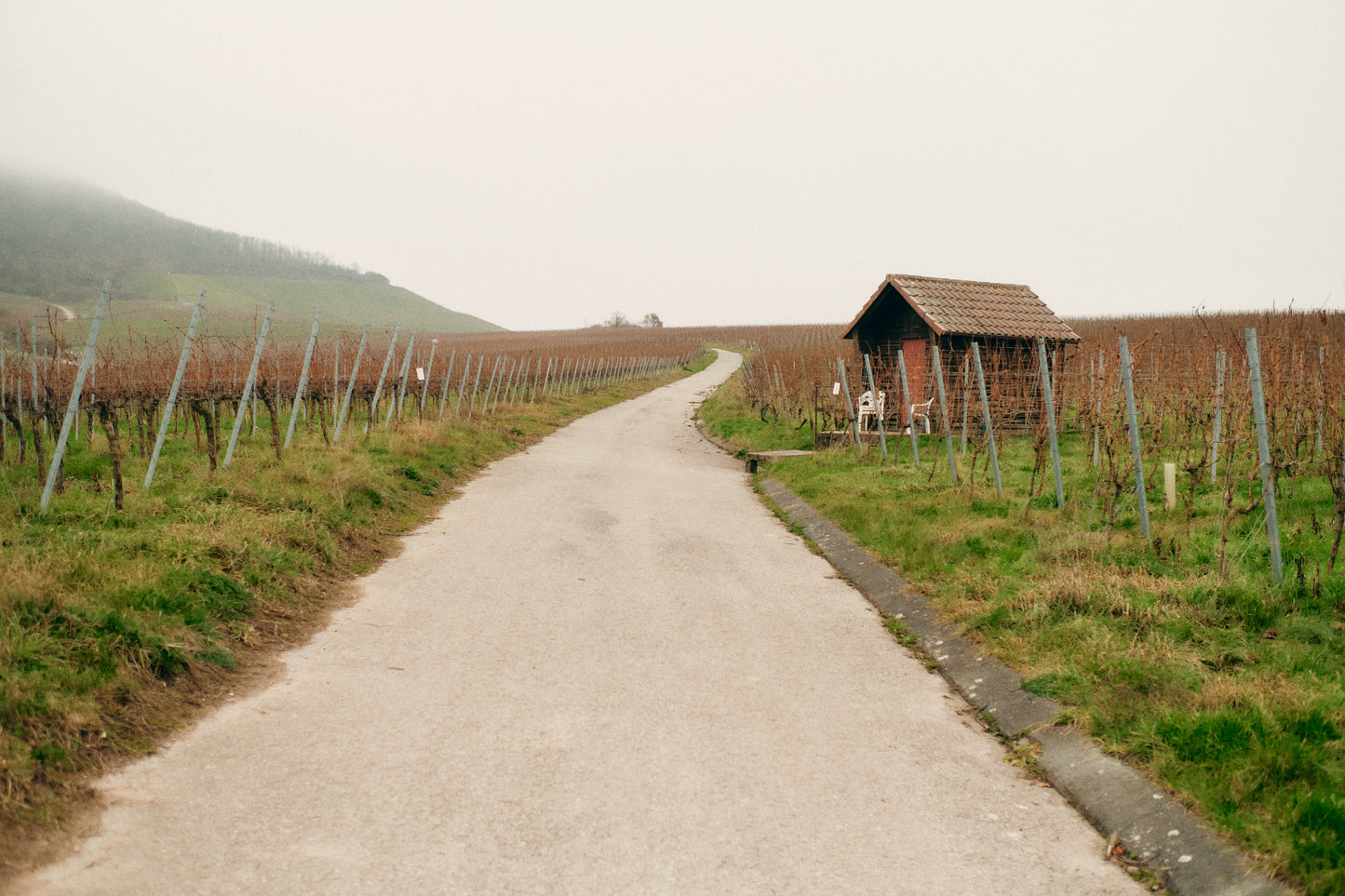 A KIND OF WINE 05