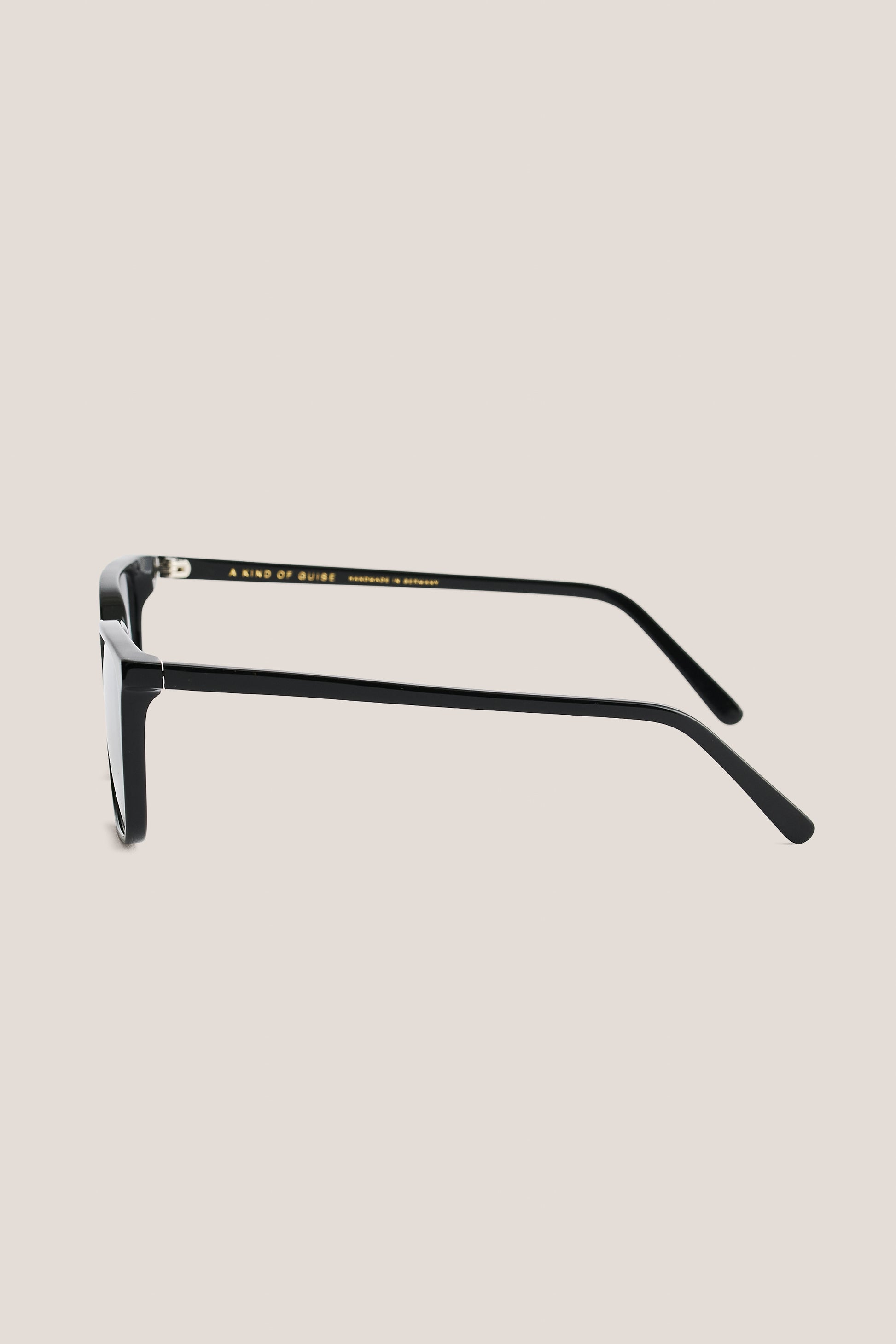 Unisex accessories sunglasses, black acetate frame, side view.