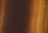gold / tiger eye