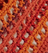  burnt orange / burgundy