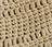  seashell