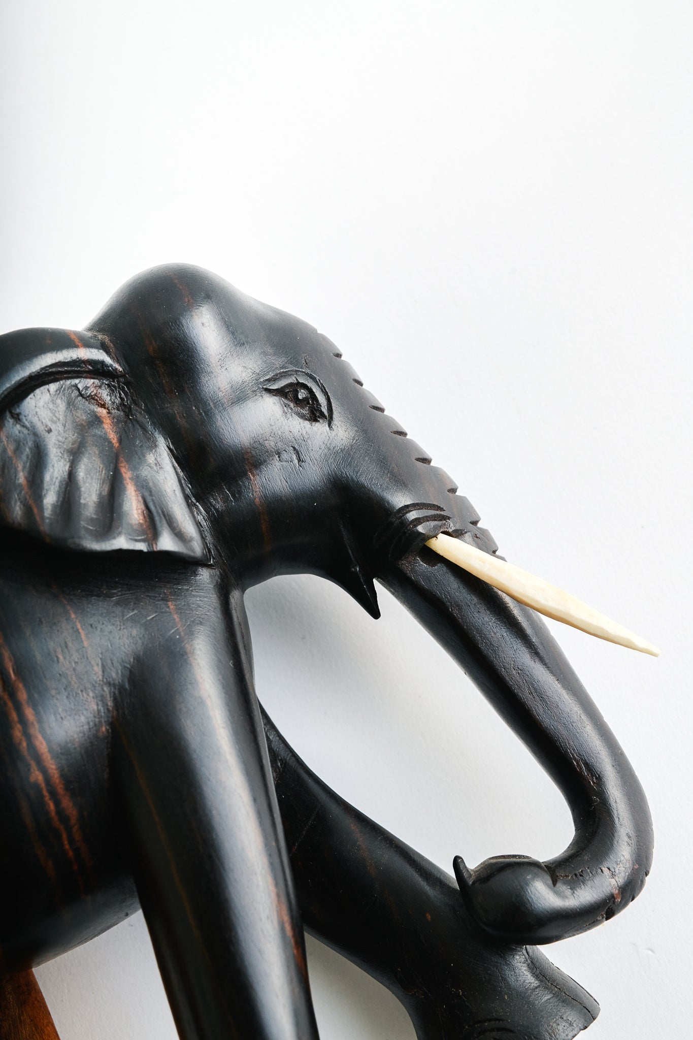 Two-Tone Sri Lanka Elephant
