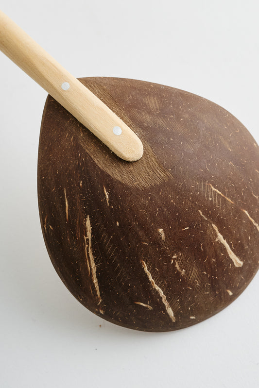 Coconut Spoon