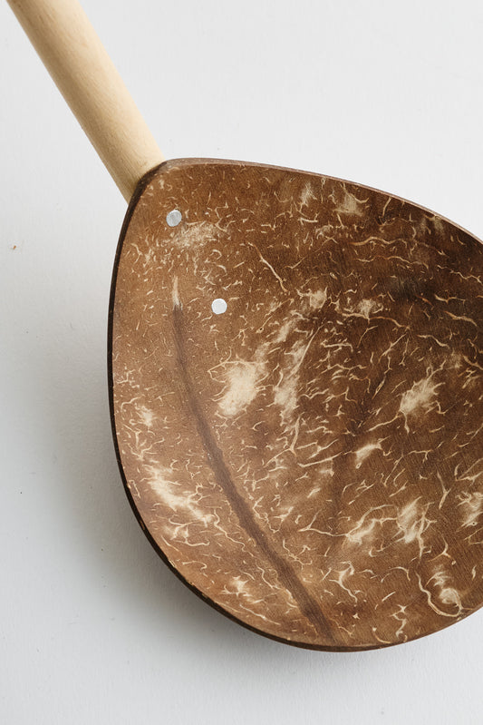 Coconut Spoon